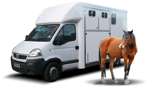 Motorised horseboxes need to comply with ULEZ